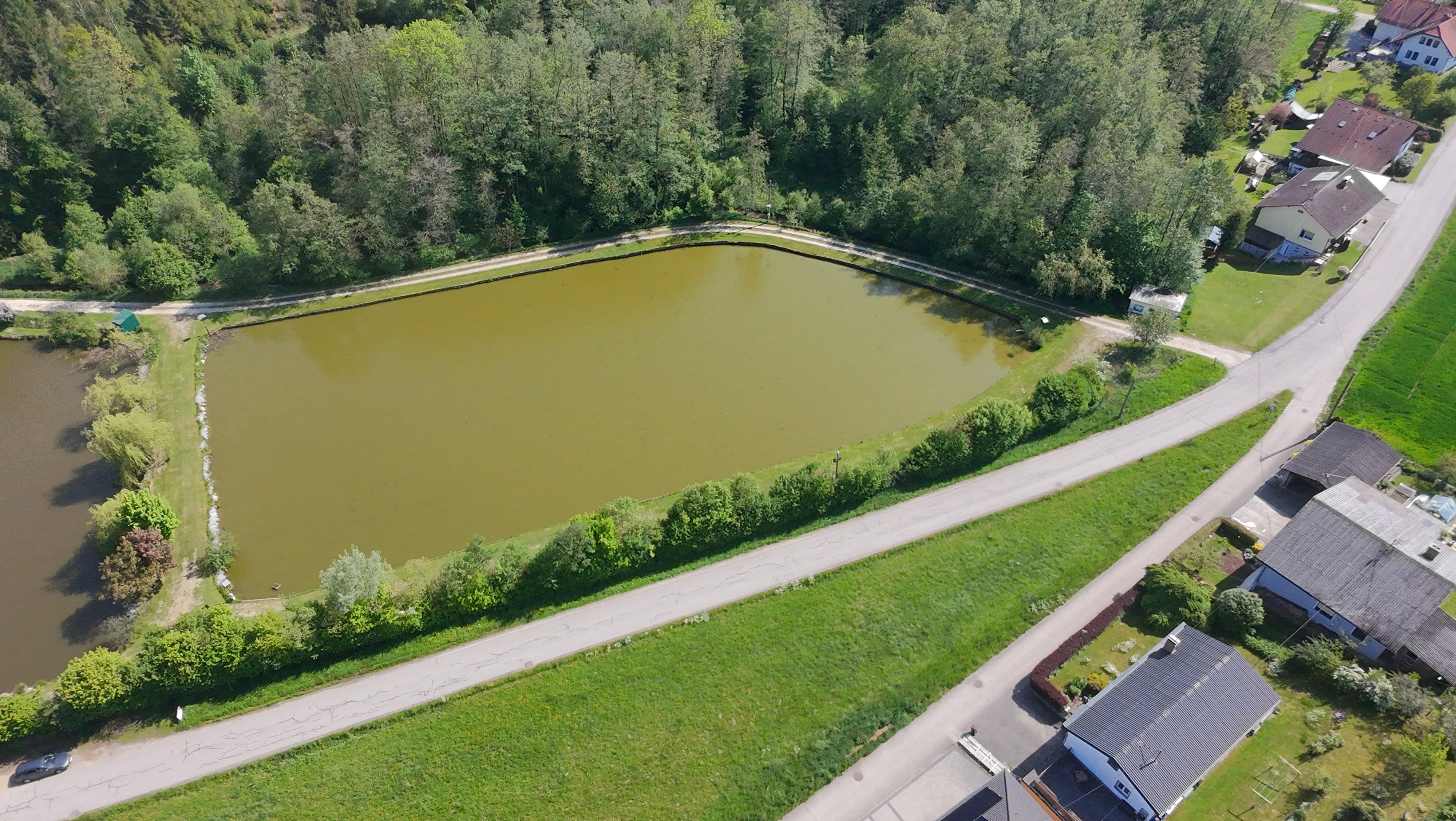 Teich 1